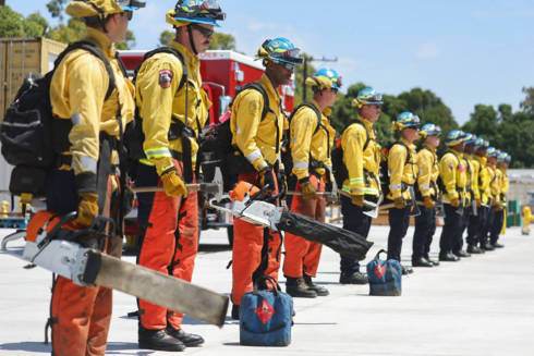 H.R. 7069: Peer Support for Firefighters Act